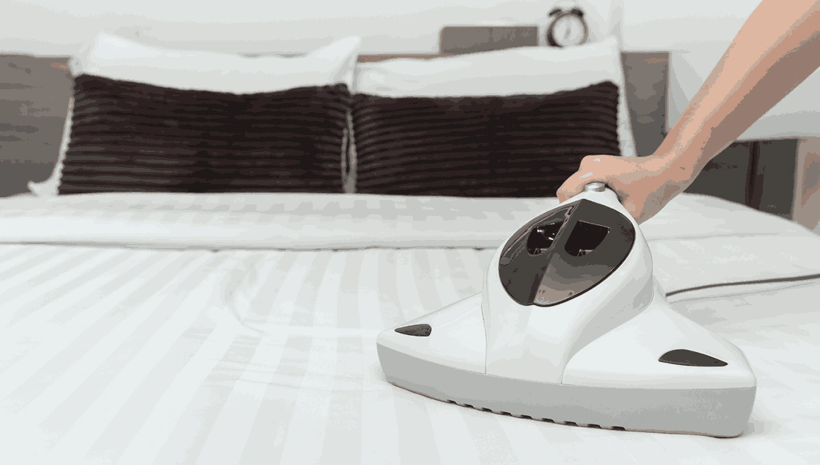 Professional Mattress Cleaning Rosanna